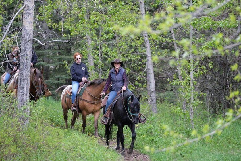 1-Hour Horseback Trail Ride in Kananaskis