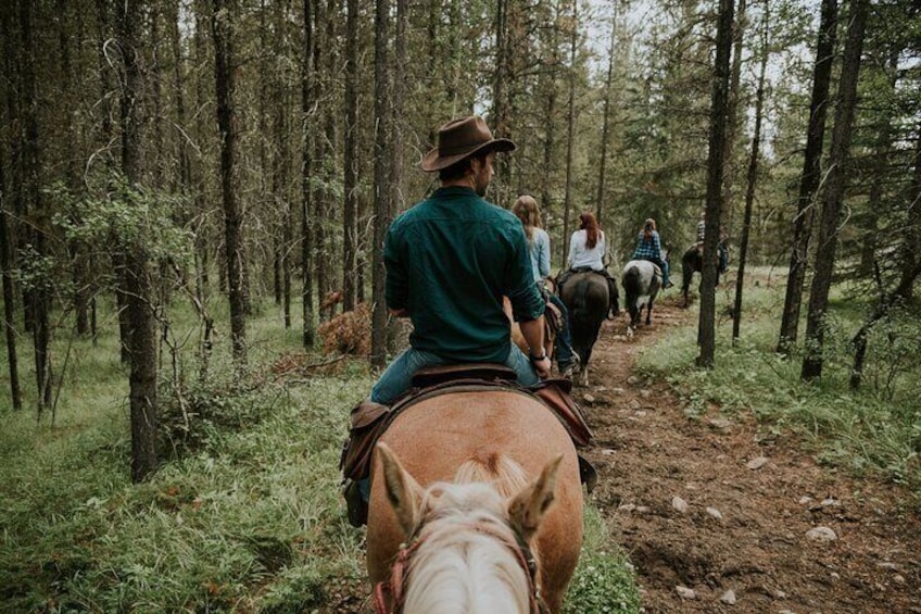 1-Hour Horseback Trail Ride in Kananaskis