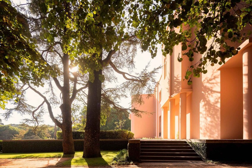 Picture 11 for Activity Porto: Serralves Park Entry Ticket