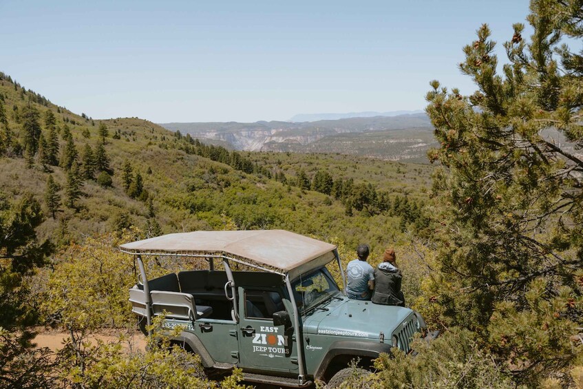 Picture 3 for Activity East Zion: Brushy Cove Jeep Adventure