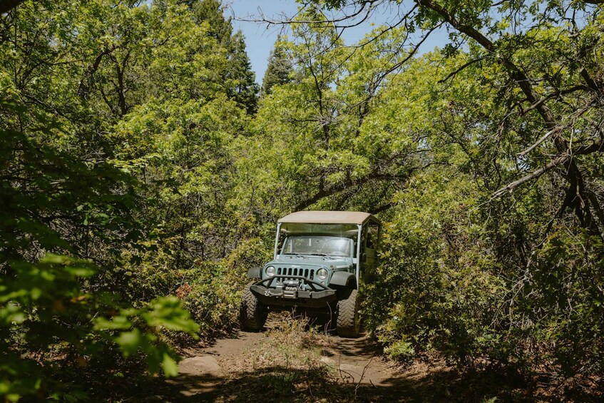 Picture 1 for Activity East Zion: Brushy Cove Jeep Adventure