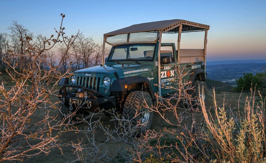 Picture 6 for Activity East Zion: Brushy Cove Jeep Adventure