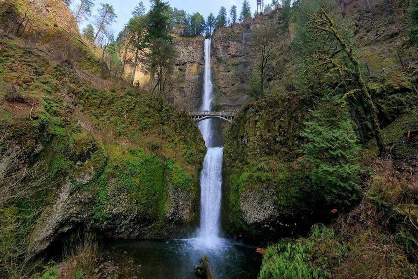 Majestic Multnomah Falls