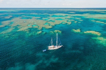 3 Day Whitsundays Sailing and Diving Adventure: Kiana