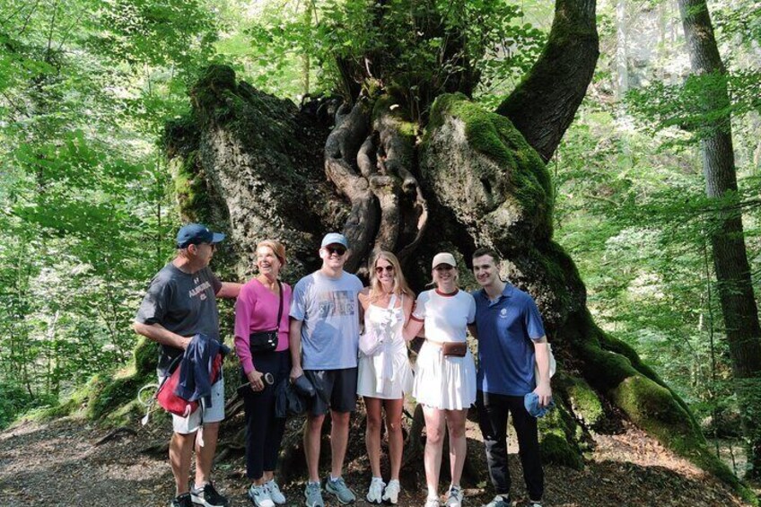 Andechs Monastery Beer Hike Food Experience Private Tour (departs Munich)
