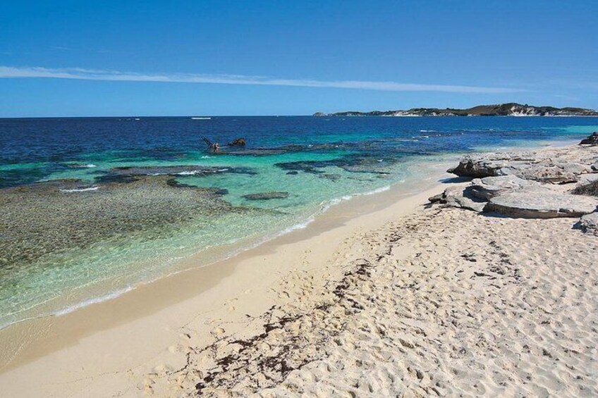 Rottnest Island Bayseeker Tour 