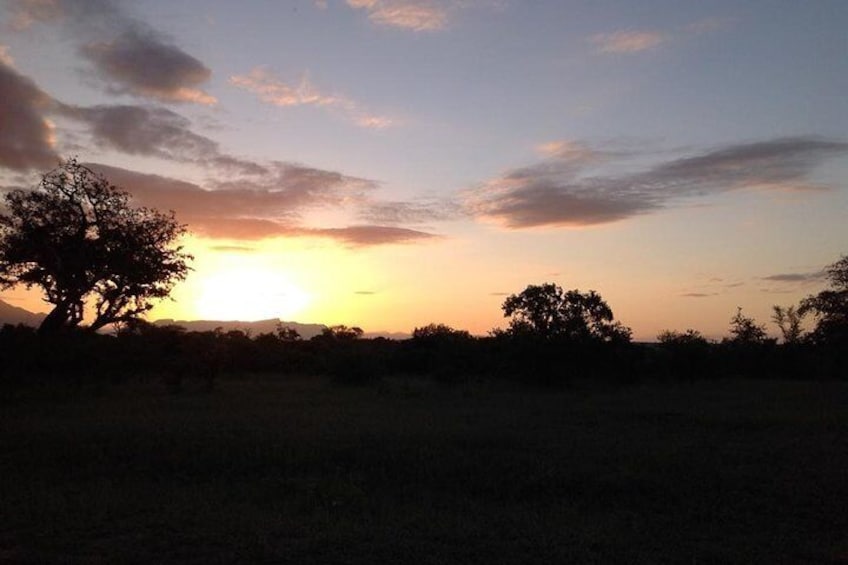 Morning sunrise Kruger