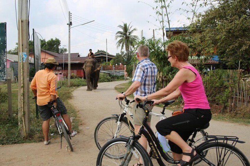 Colors of Ayutthaya, full of surprises.