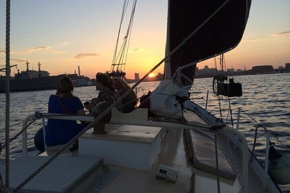 Baltimore Harbour Moonlight Sail on the Summer Wind