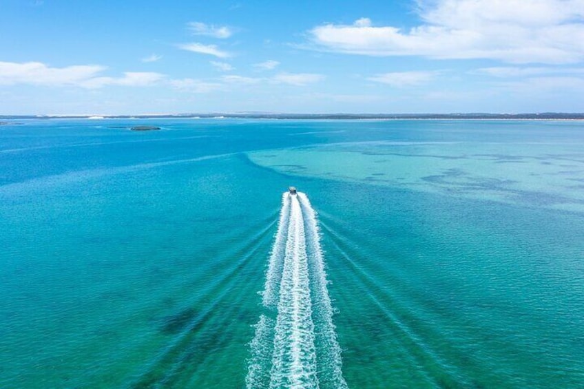 Experience Coffin Bay Oyster Farm and Bay Tour