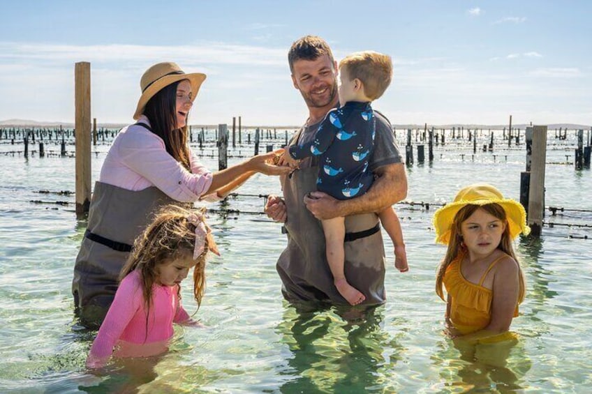 Experience Coffin Bay Oyster Farm and Bay Tour