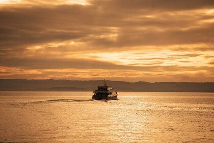 Phillip Island Twilight Cruise