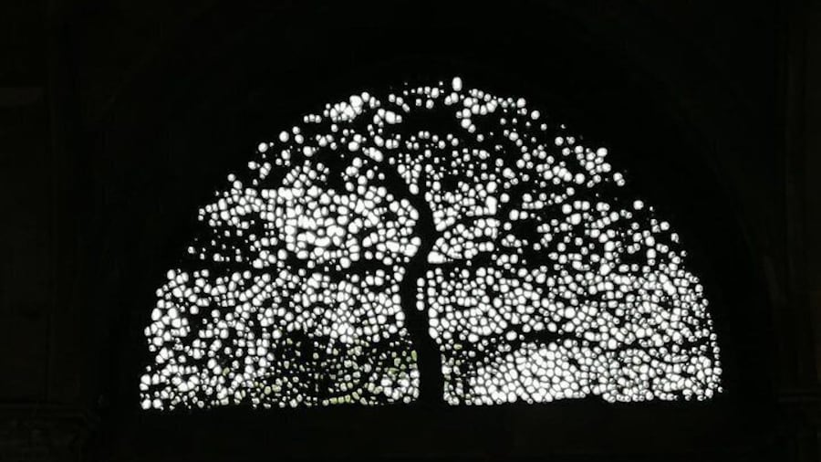 Tree of life
