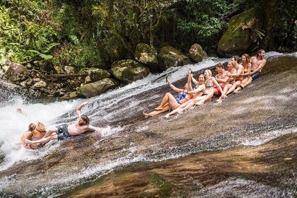 Fun, Falls and Forests Day Trip from Cairns