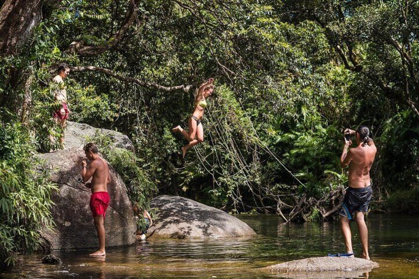 Swimming in the rainforest