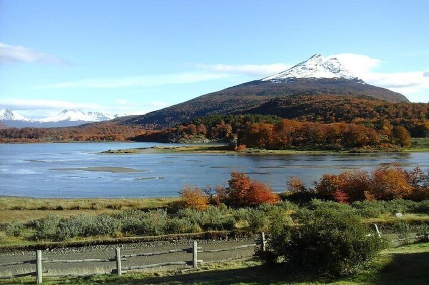 5.5-Hour National park w/ hiking Shore excursion - USHUAIA (Private Tour)