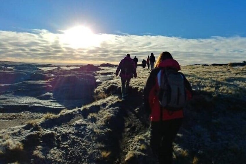 5.5-Hour National park w/ hiking Shore excursion - USHUAIA (Private Tour)