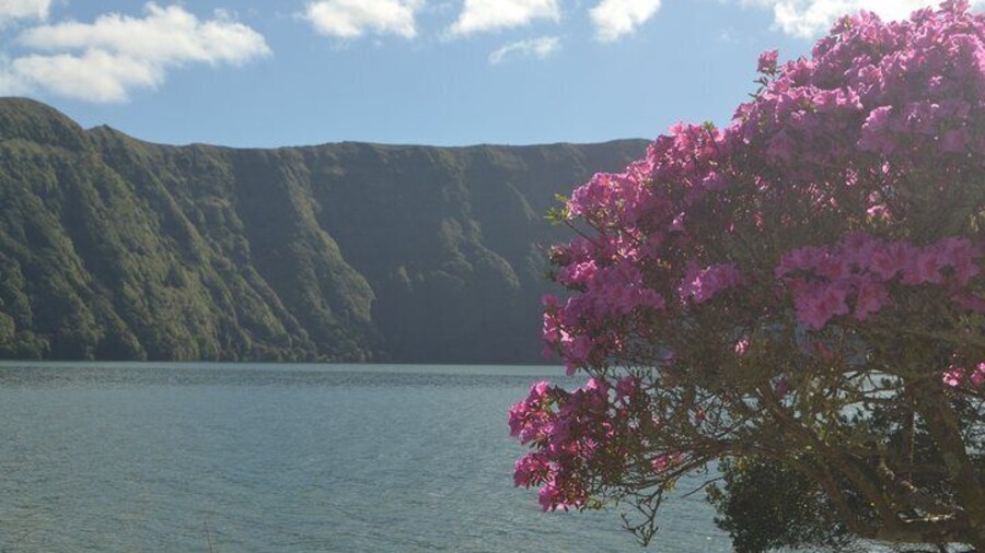 Half Day Sete Cidades