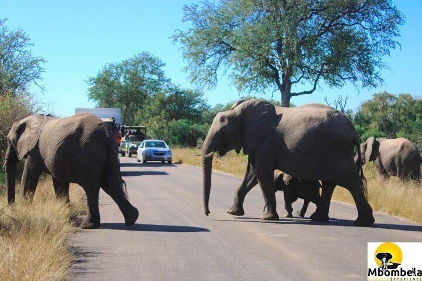 Two Days, One Night Tour: Blyde River to Kruger National Park