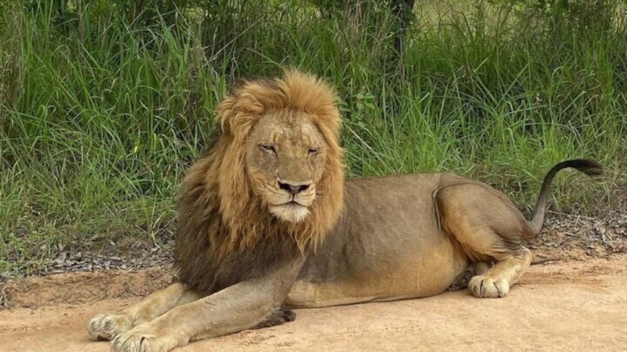 Two Days, One Night Tour: Blyde River to Kruger National Park