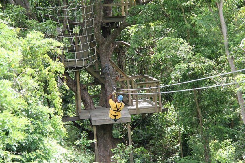 St. Lucia Morne Coubaril Estate Zipline Experience