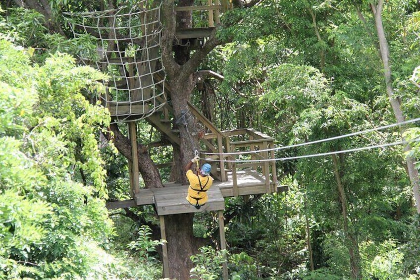 St. Lucia Morne Coubaril Estate Zipline Experience