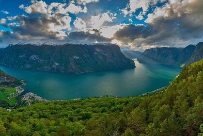 PRIVATE GUIDED TOUR: World Heritage Fjord Landscape – Viking Special – from...