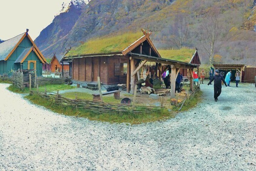 PRIVATE GUIDED TOUR: World Heritage Fjord Landscape – Viking Special – from Flåm