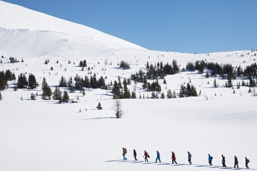 Snowshoeing on Top of the World