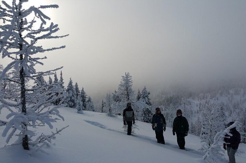 Snowshoeing on Top of the World