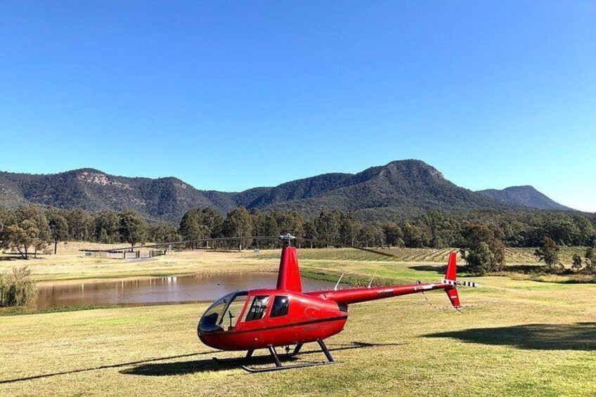 Private Helicopter Flight to Hunter Valley with a la carte Lunch - For 2