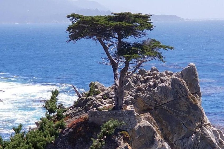 17 Mile Drive