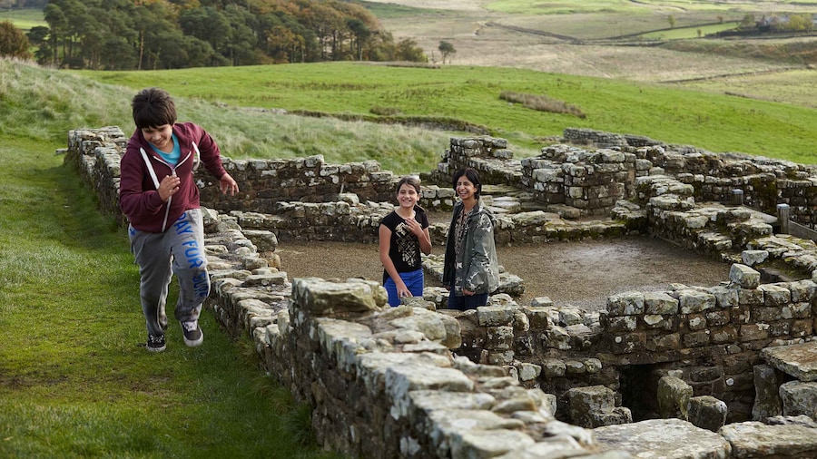 Hadrian's Wall: Housesteads Roman Fort Entry Ticket