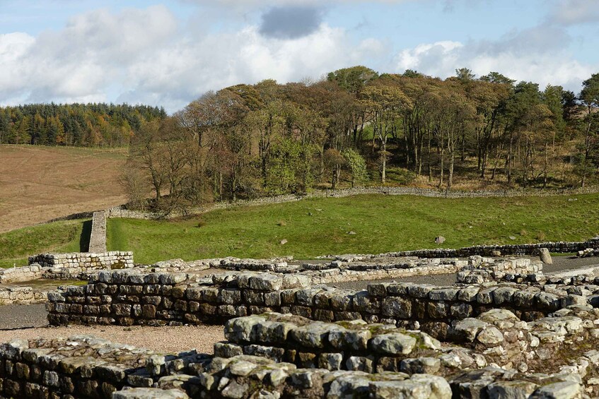 Picture 11 for Activity Hadrian's Wall: Housesteads Roman Fort Entry Ticket