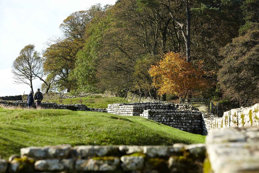 Picture 4 for Activity Hadrian's Wall: Housesteads Roman Fort Entry Ticket