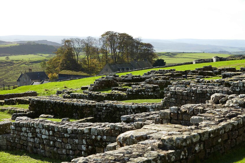 Picture 8 for Activity Hadrian's Wall: Housesteads Roman Fort Entry Ticket