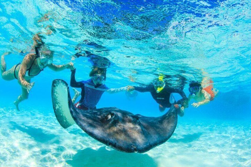 Swimming with the rays!