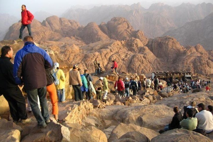 Mt Sinai