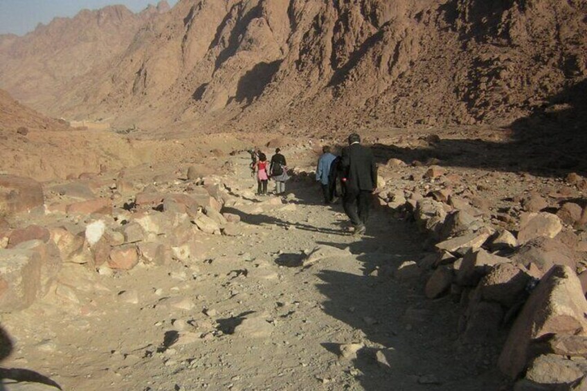 Mt Sinai trail up