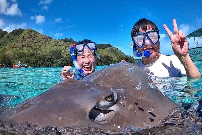 6-hour Snorkeling & Lunch Tour - Private Tour