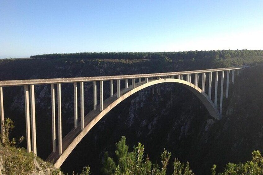 Bloukraans Bungy Bridge