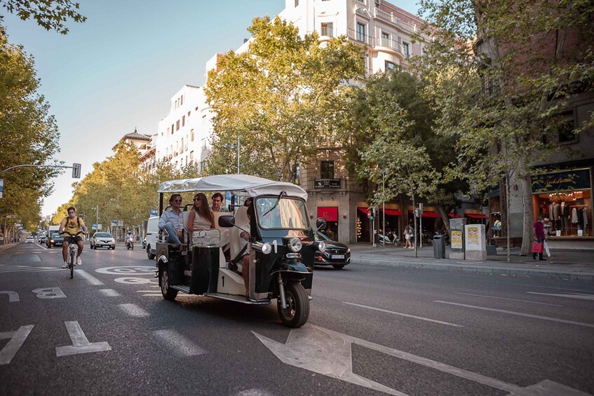 Picture 6 for Activity Madrid: Private City Tour by Eco Tuk Tuk