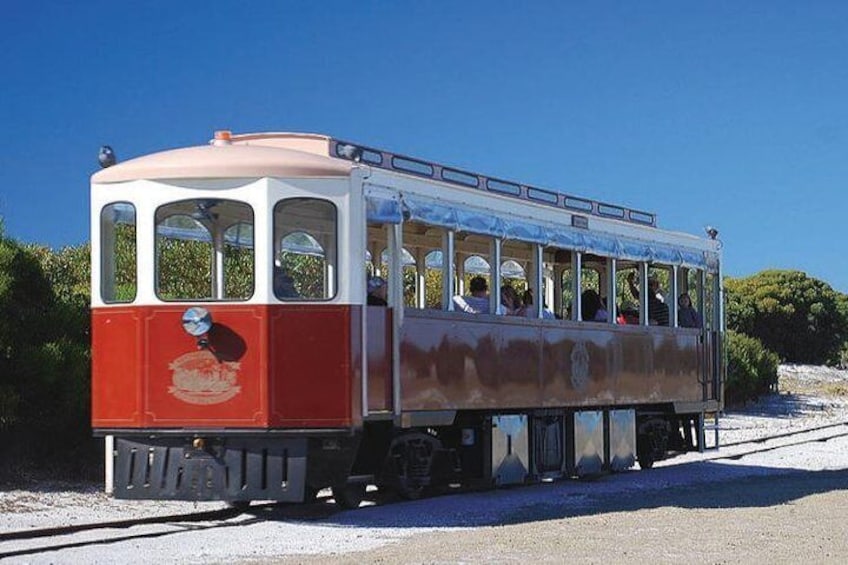 Rottnest Island Oliver Hill Train & Tunnel Tour