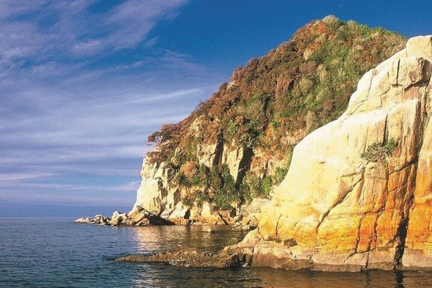 Remote Coast
