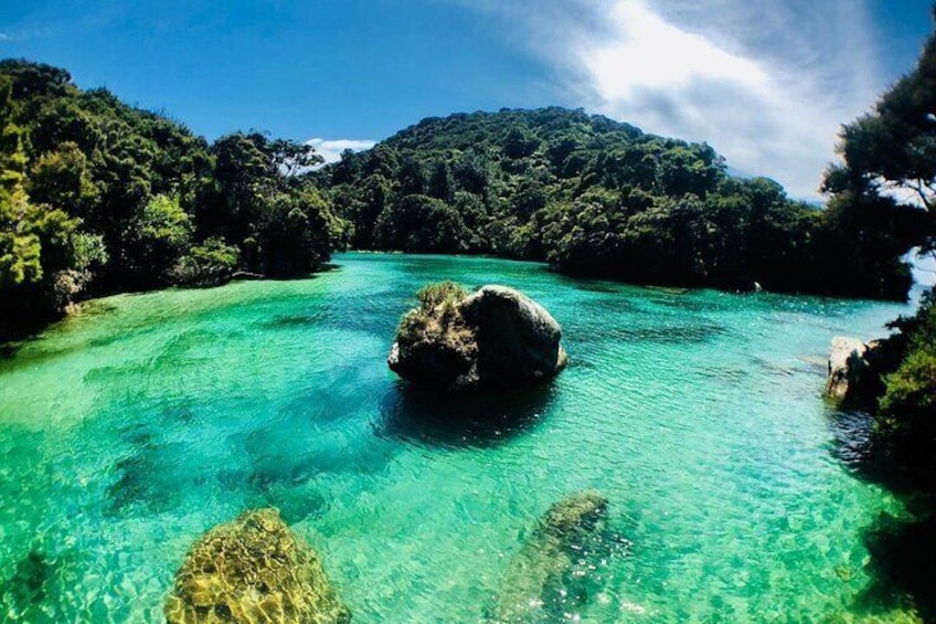 Abel Tasman Kayaks Shag Harbour