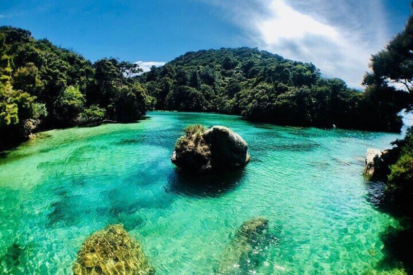 Abel Tasman Kayaks Shag Harbour