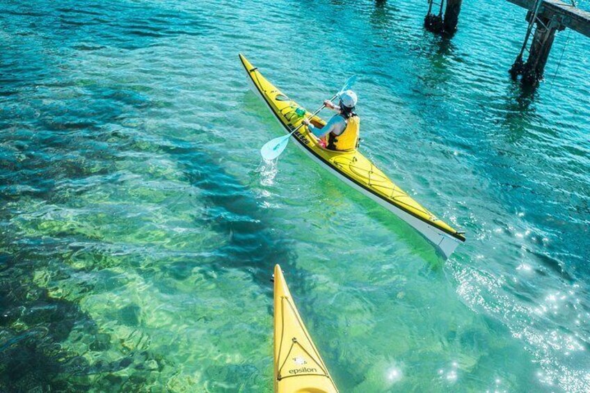explore the crystal clear waters of Sydney's Middle Harbour