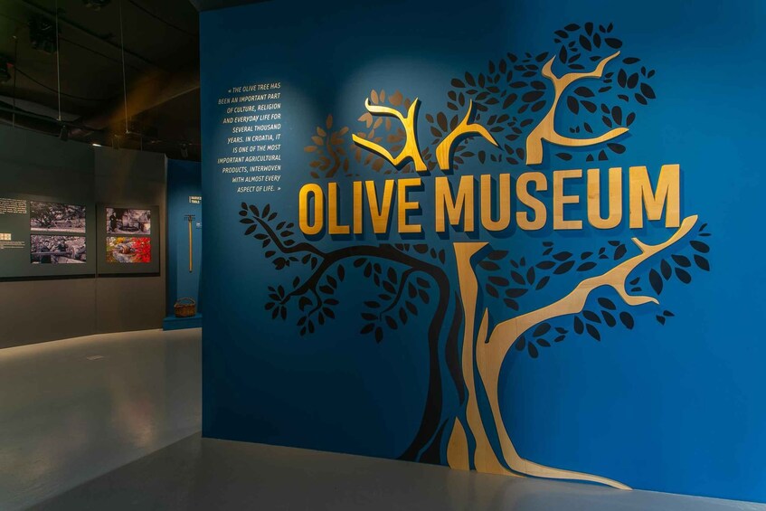 Picture 6 for Activity Split: Olive museum Klis with Olive Oil Tasting