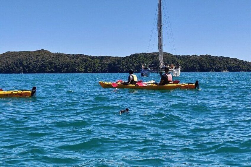 Kayak & Walk