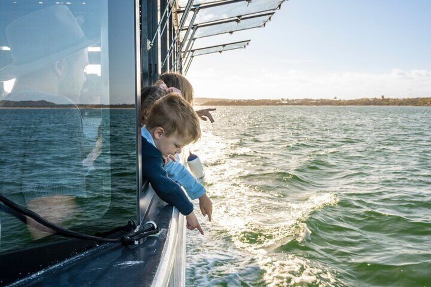 Experience Coffin Bay Short and Sweet Oyster Farm Tour